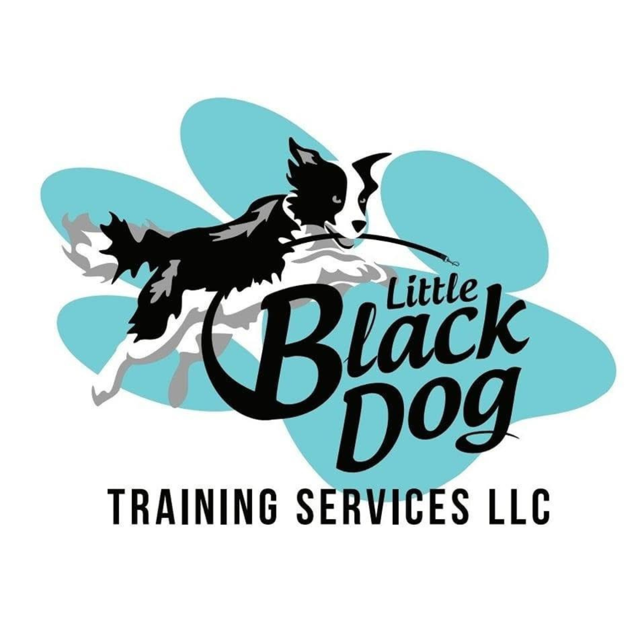 Little Black Dog Training Services